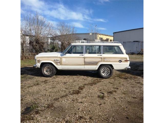 1987 Jeep Grand Wagoneer (CC-2112882) for sale in Cadillac, Michigan