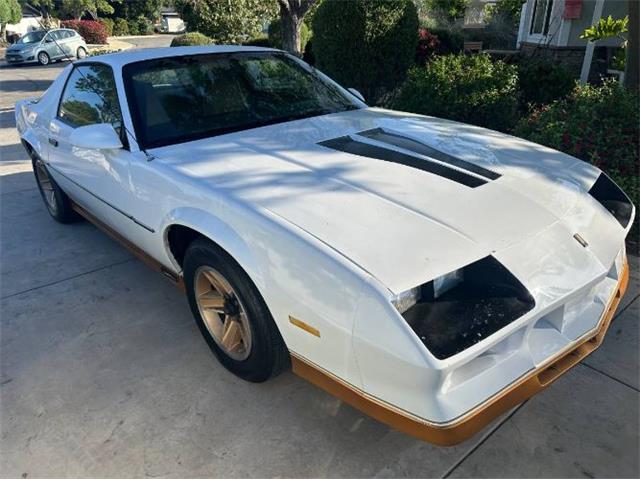 1982 Chevrolet Camaro (CC-2112887) for sale in Cadillac, Michigan