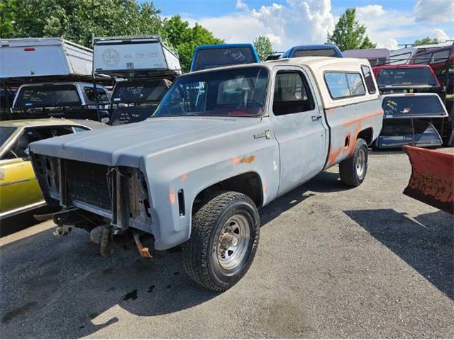 1980 Chevrolet K-20 (CC-2112888) for sale in Cadillac, Michigan