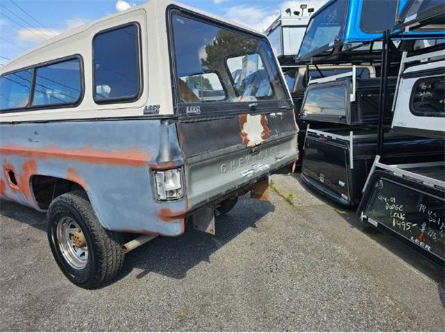 1980 Chevrolet K-20 (CC-2112888) for sale in Cadillac, Michigan