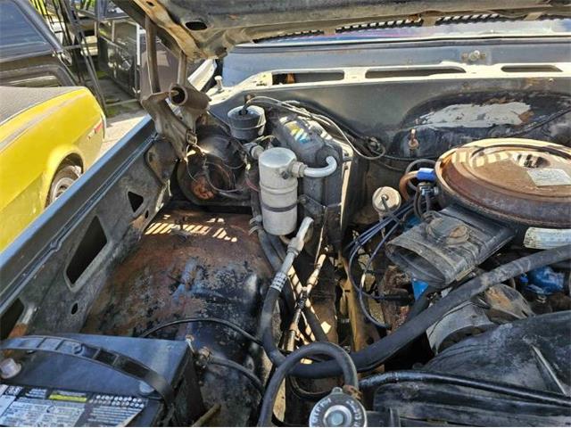 1980 Chevrolet K-20 (CC-2112888) for sale in Cadillac, Michigan
