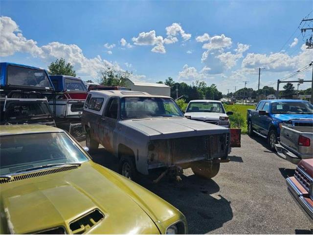1980 Chevrolet K-20 (CC-2112888) for sale in Cadillac, Michigan