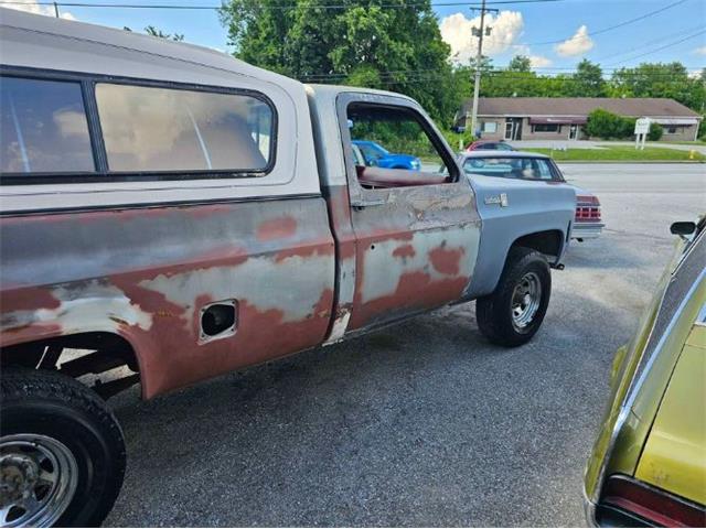 1980 Chevrolet K-20 (CC-2112888) for sale in Cadillac, Michigan