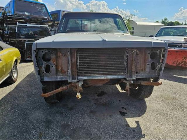 1980 Chevrolet K-20 (CC-2112888) for sale in Cadillac, Michigan