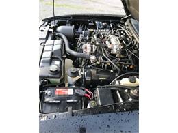 1999 Ford Mustang GT (CC-2112892) for sale in Cadillac, Michigan
