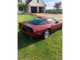 1988 Chevrolet Corvette (CC-2112895) for sale in Cadillac, Michigan