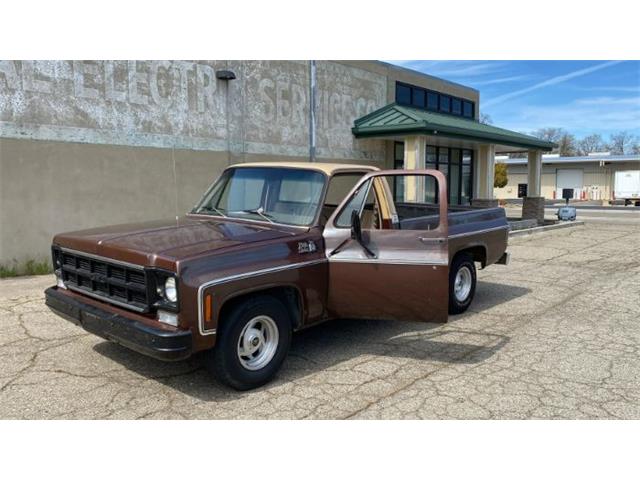 1978 GMC Sierra (CC-2112897) for sale in Cadillac, Michigan