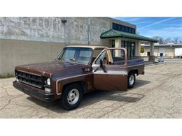 1978 GMC Sierra (CC-2112897) for sale in Cadillac, Michigan
