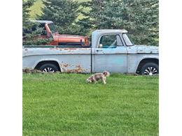 1968 Dodge D150 (CC-2112912) for sale in Cadillac, Michigan