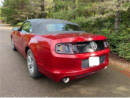 2014 Ford Mustang (CC-2112914) for sale in Cadillac, Michigan