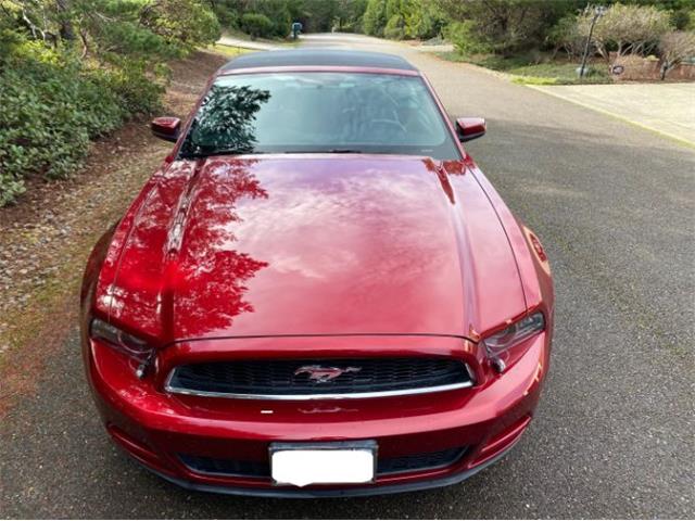 2014 Ford Mustang (CC-2112914) for sale in Cadillac, Michigan