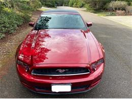 2014 Ford Mustang (CC-2112914) for sale in Cadillac, Michigan