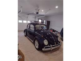 1966 Volkswagen Beetle (CC-2112925) for sale in Cadillac, Michigan