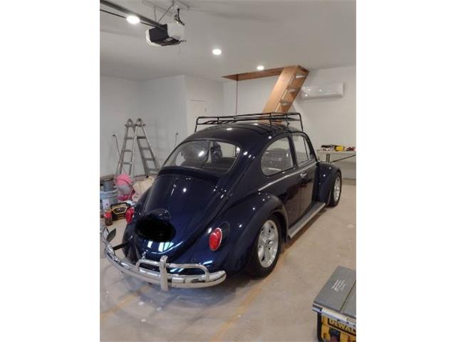 1966 Volkswagen Beetle (CC-2112925) for sale in Cadillac, Michigan