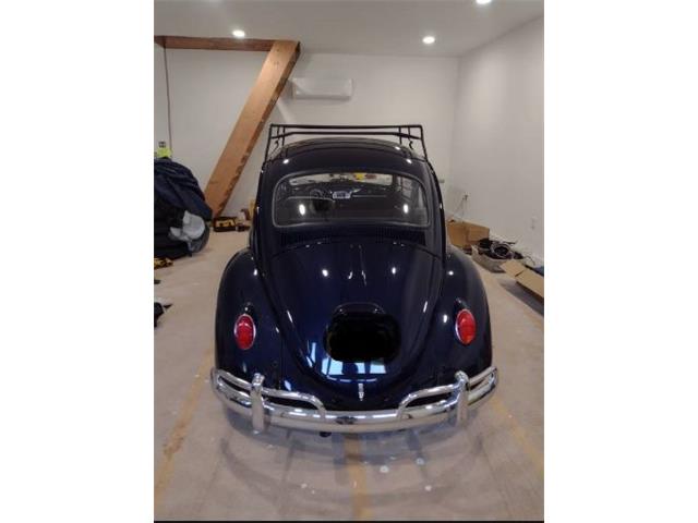 1966 Volkswagen Beetle (CC-2112925) for sale in Cadillac, Michigan