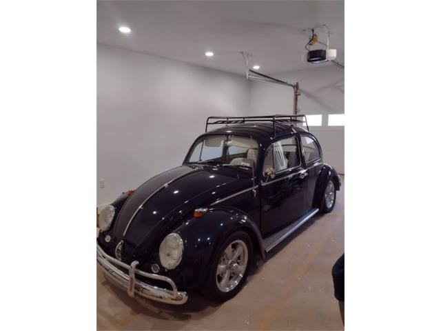 1966 Volkswagen Beetle (CC-2112925) for sale in Cadillac, Michigan