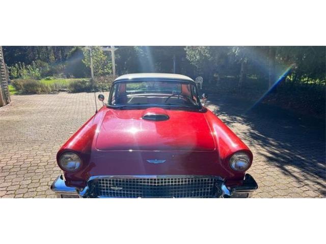1957 Ford Thunderbird (CC-2112929) for sale in Cadillac, Michigan