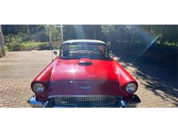 1957 Ford Thunderbird (CC-2112929) for sale in Cadillac, Michigan