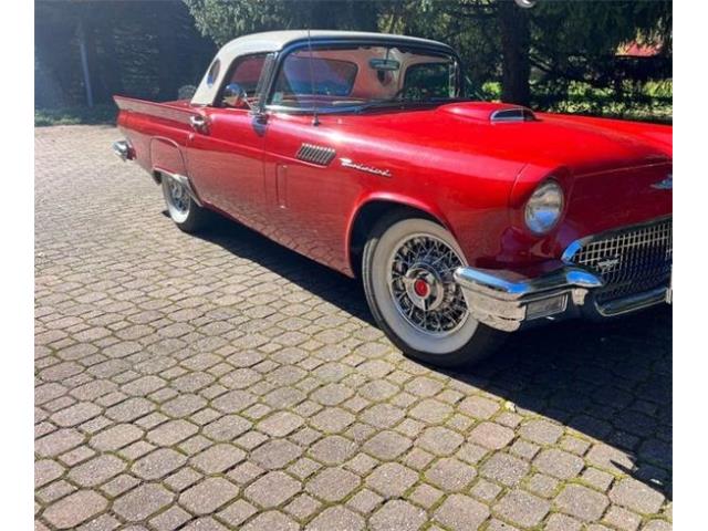 1957 Ford Thunderbird (CC-2112929) for sale in Cadillac, Michigan