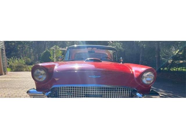 1957 Ford Thunderbird (CC-2112929) for sale in Cadillac, Michigan