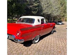 1957 Ford Thunderbird (CC-2112929) for sale in Cadillac, Michigan