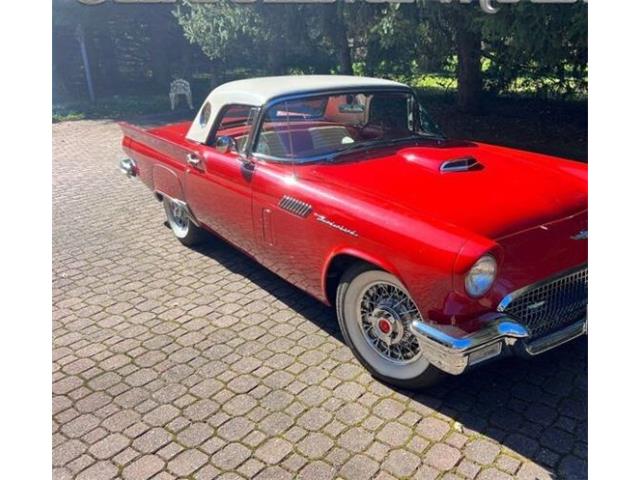 1957 Ford Thunderbird (CC-2112929) for sale in Cadillac, Michigan