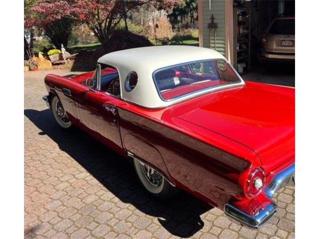 1957 Ford Thunderbird (CC-2112929) for sale in Cadillac, Michigan