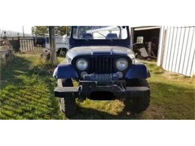 1980 Jeep CJ5 (CC-2112956) for sale in Cadillac, Michigan