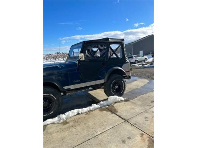 1980 Jeep CJ5 (CC-2112956) for sale in Cadillac, Michigan