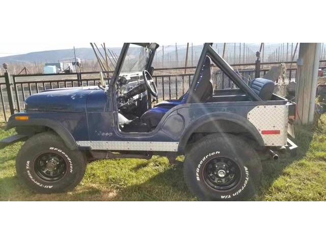 1980 Jeep CJ5 (CC-2112956) for sale in Cadillac, Michigan