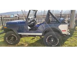 1980 Jeep CJ5 (CC-2112956) for sale in Cadillac, Michigan