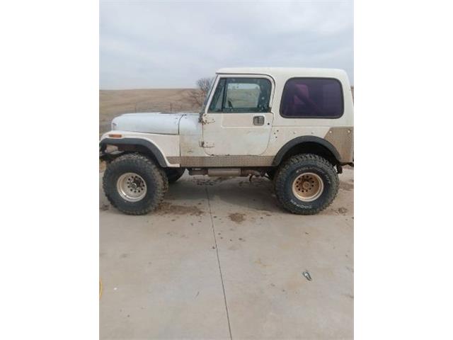 1978 Jeep CJ (CC-2112959) for sale in Cadillac, Michigan