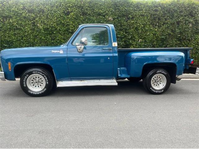 1979 Chevrolet C10 (CC-2112960) for sale in Cadillac, Michigan