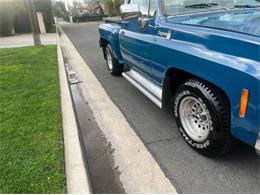 1979 Chevrolet C10 (CC-2112960) for sale in Cadillac, Michigan