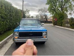 1979 Chevrolet C10 (CC-2112960) for sale in Cadillac, Michigan
