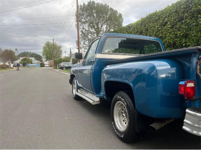 1979 Chevrolet C10 (CC-2112960) for sale in Cadillac, Michigan
