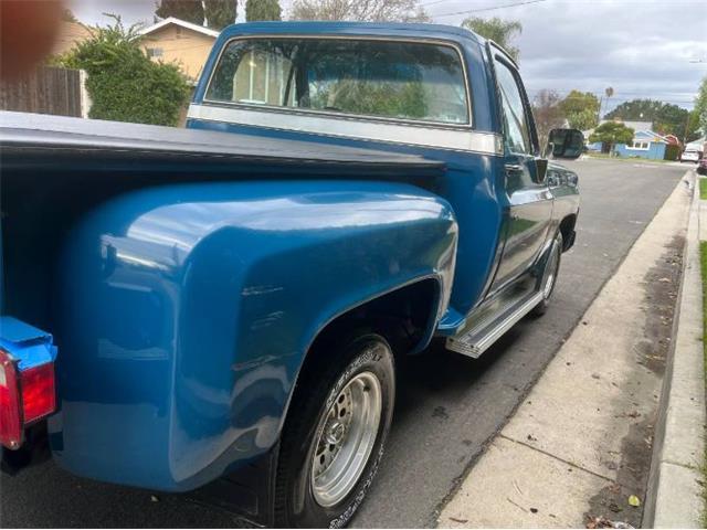 1979 Chevrolet C10 (CC-2112960) for sale in Cadillac, Michigan