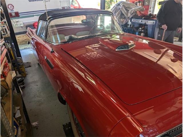 1955 Ford Thunderbird (CC-2112972) for sale in Cadillac, Michigan
