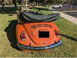 1970 Volkswagen Beetle (CC-2112979) for sale in Cadillac, Michigan