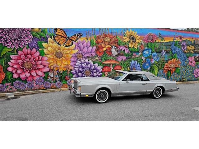 1977 Lincoln Continental (CC-2112983) for sale in Cadillac, Michigan