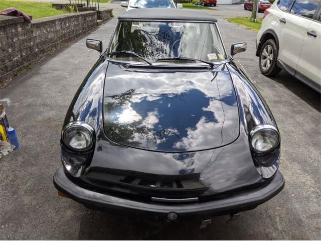 1981 Alfa Romeo Spider Veloce (CC-2112987) for sale in Cadillac, Michigan