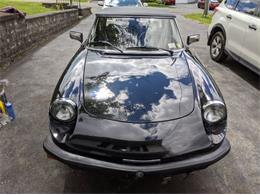 1981 Alfa Romeo Spider Veloce (CC-2112987) for sale in Cadillac, Michigan
