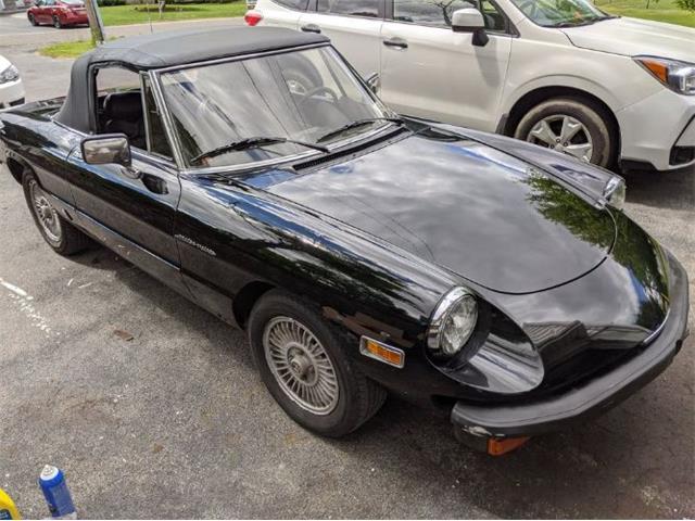 1981 Alfa Romeo Spider Veloce (CC-2112987) for sale in Cadillac, Michigan