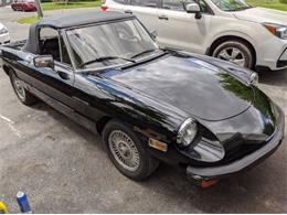1981 Alfa Romeo Spider Veloce (CC-2112987) for sale in Cadillac, Michigan