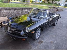 1981 Alfa Romeo Spider Veloce (CC-2112987) for sale in Cadillac, Michigan