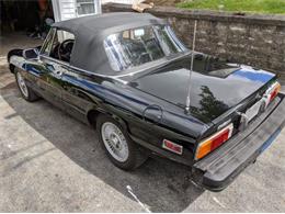 1981 Alfa Romeo Spider Veloce (CC-2112987) for sale in Cadillac, Michigan