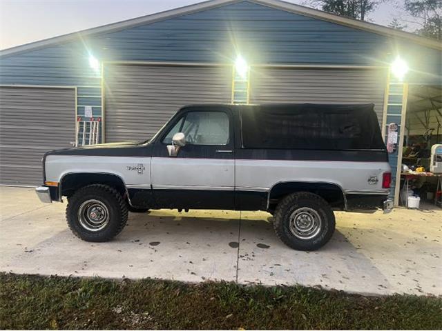 1985 Chevrolet Blazer (CC-2112992) for sale in Cadillac, Michigan