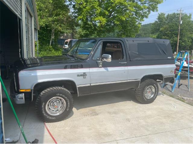 1985 Chevrolet Blazer (CC-2112992) for sale in Cadillac, Michigan
