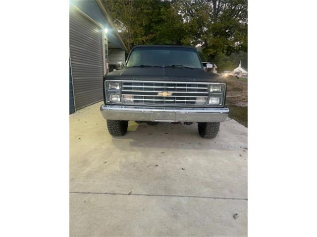 1985 Chevrolet Blazer (CC-2112992) for sale in Cadillac, Michigan