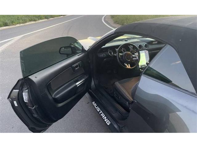 2015 Ford Mustang (CC-2113003) for sale in Cadillac, Michigan